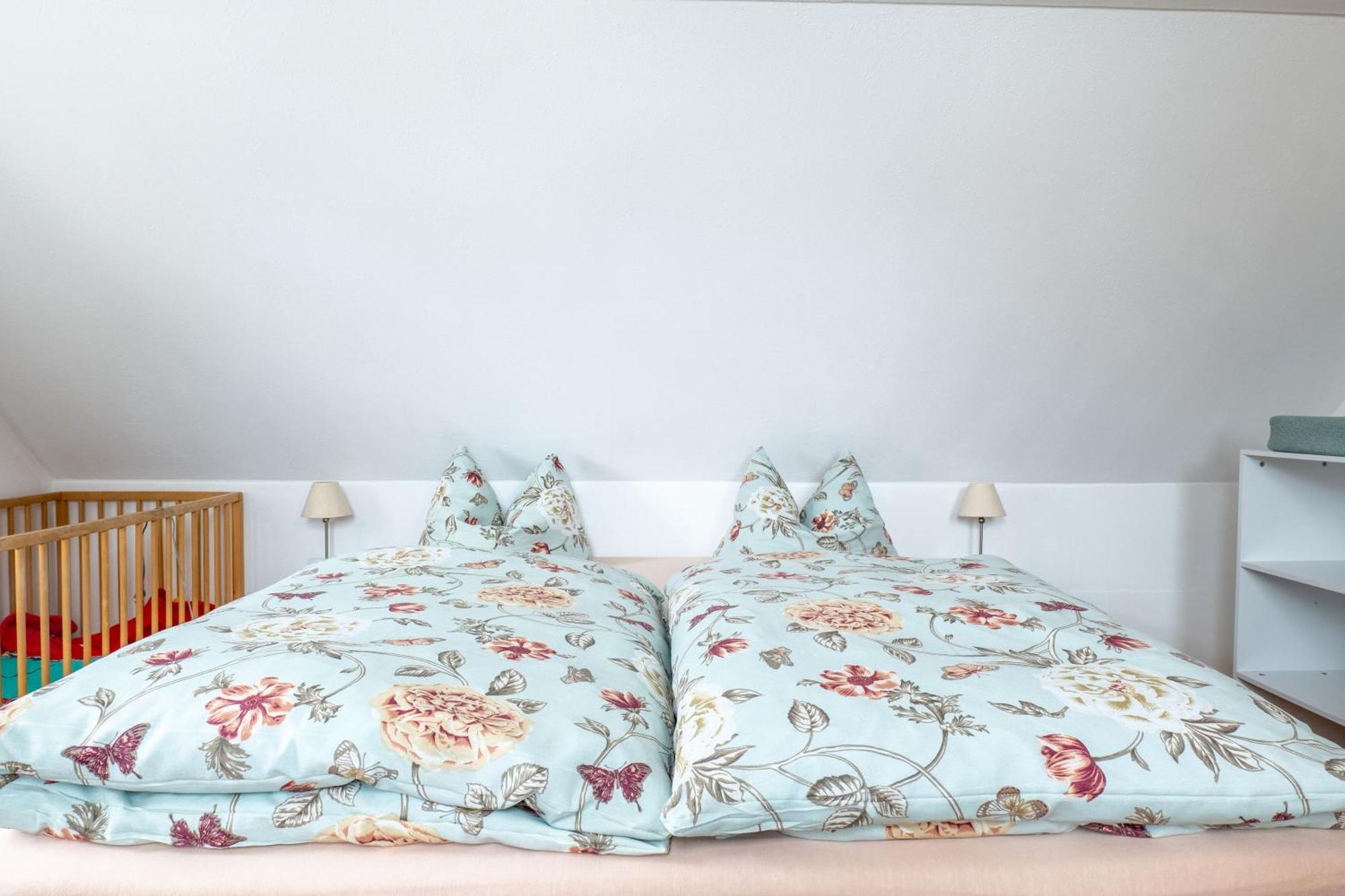 Hof Tuerke Apartment Moritzburg Phòng bức ảnh